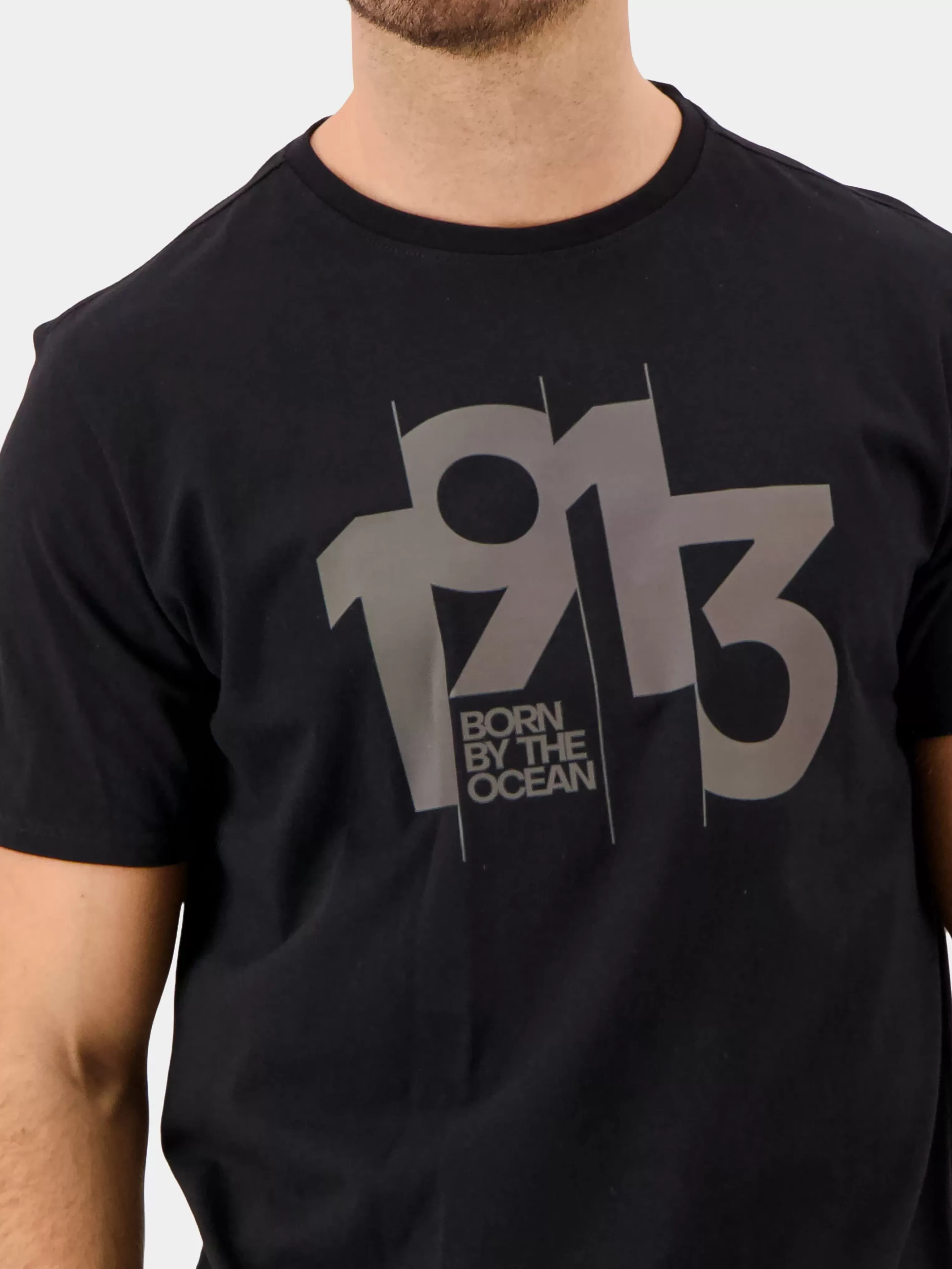 Didriksons Heritage Printed Men's T-Shirt>Herr T-Shirts & Pikeer