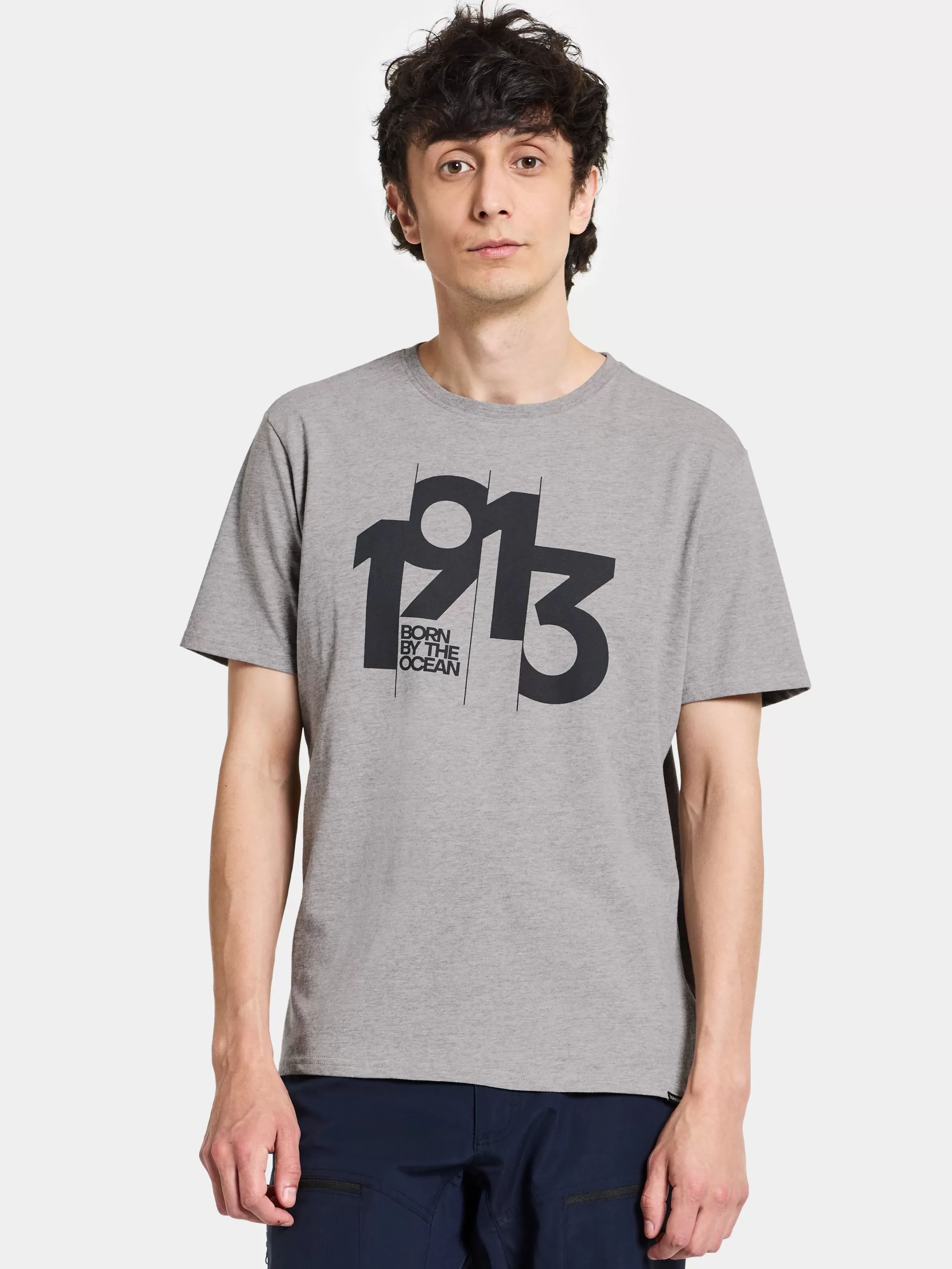 Didriksons Heritage Printed Men's T-Shirt>Herr T-Shirts & Pikeer