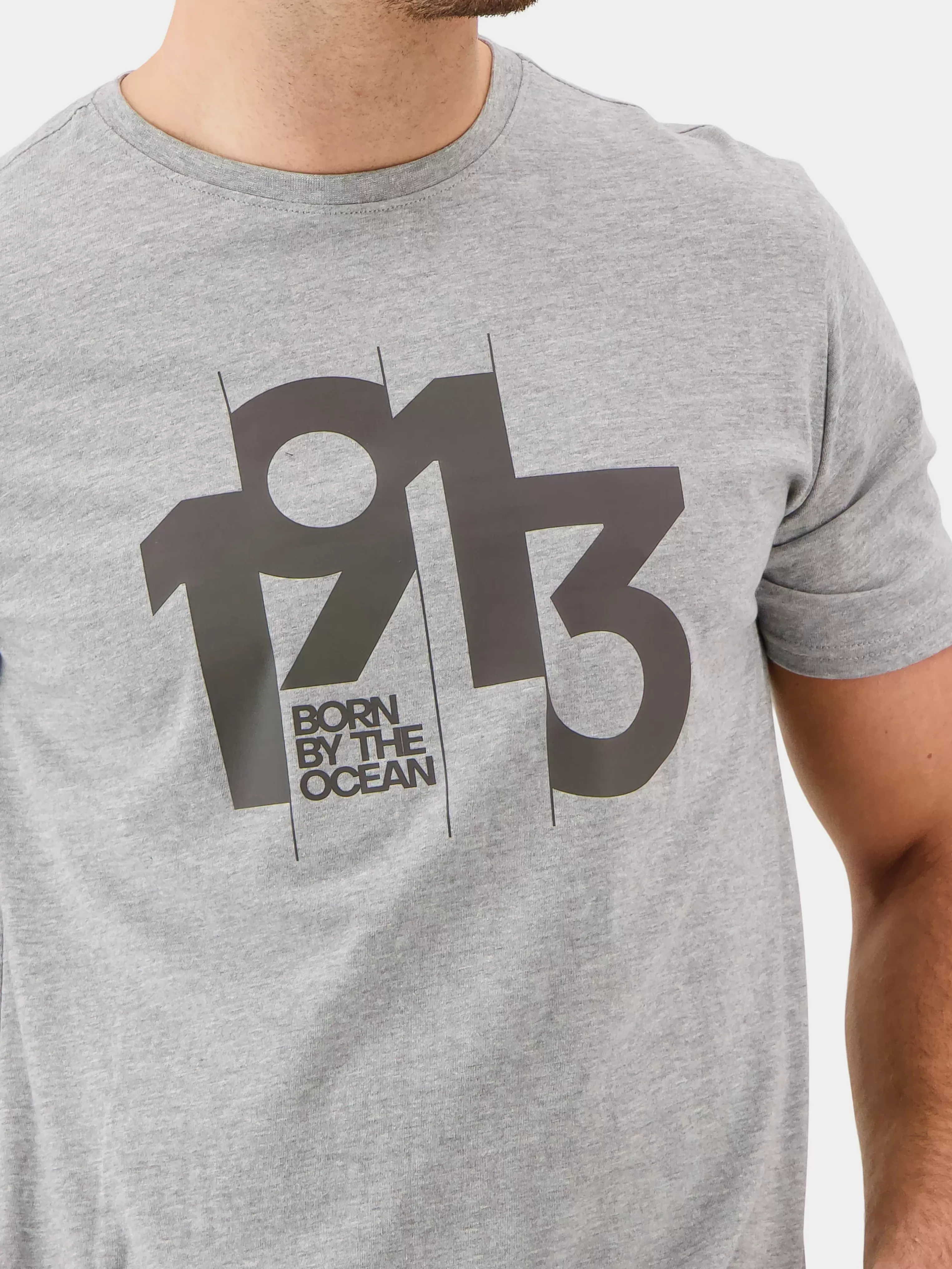 Didriksons Heritage Printed Men's T-Shirt>Herr T-Shirts & Pikeer