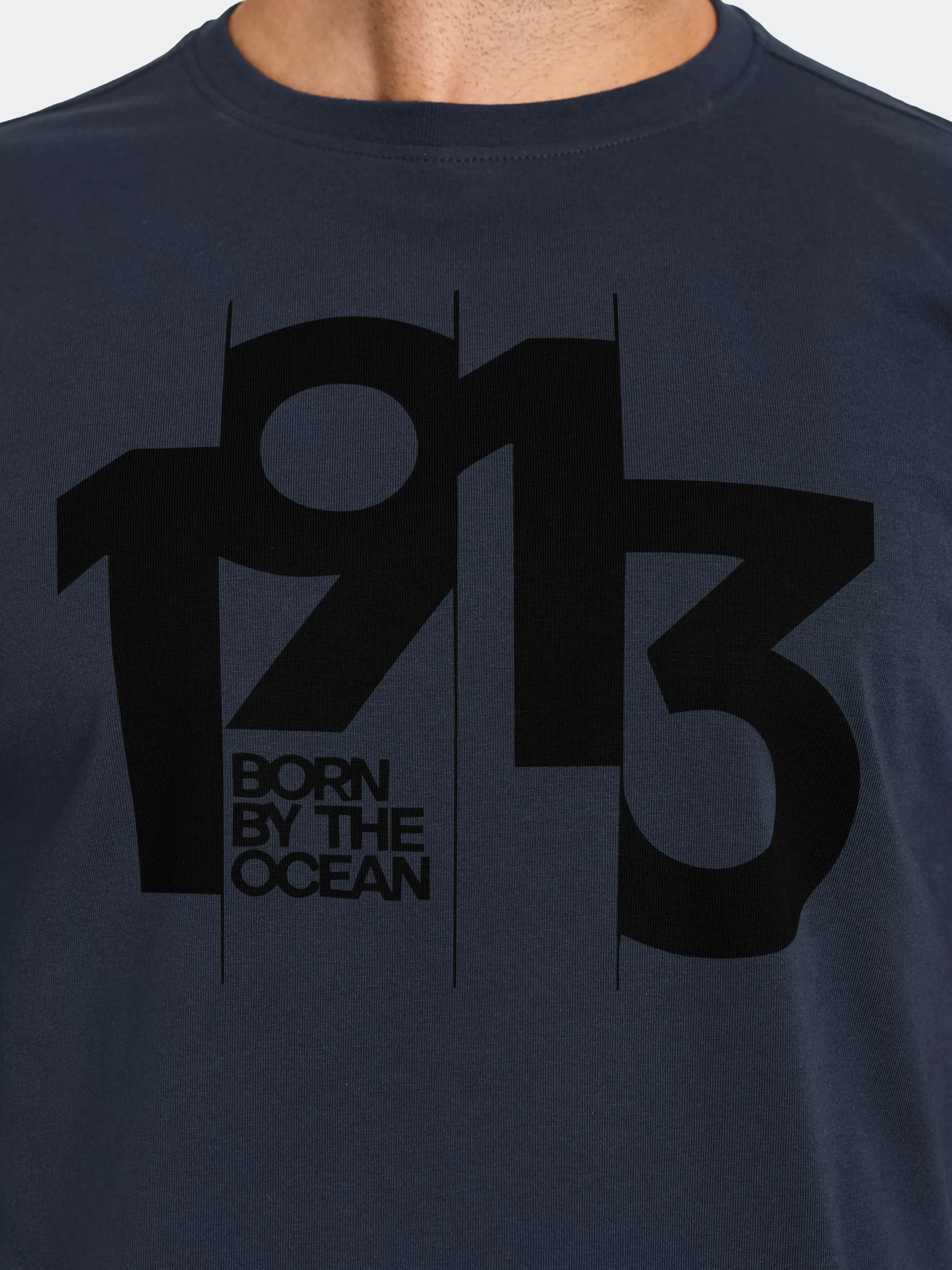 Didriksons Heritage Printed Men's T-Shirt>Herr T-Shirts & Pikeer