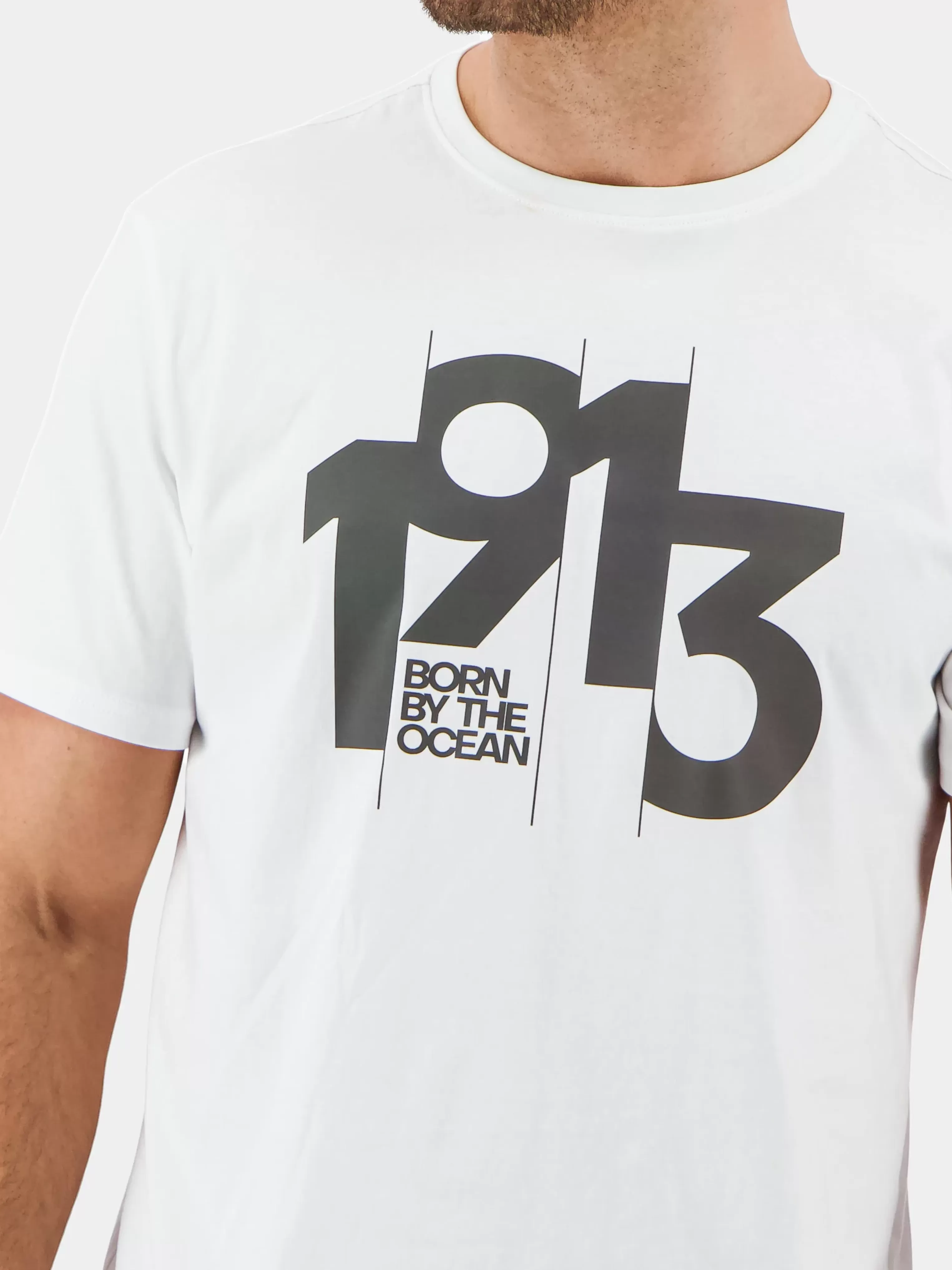 Didriksons Heritage Printed Men's T-Shirt>Herr T-Shirts & Pikeer