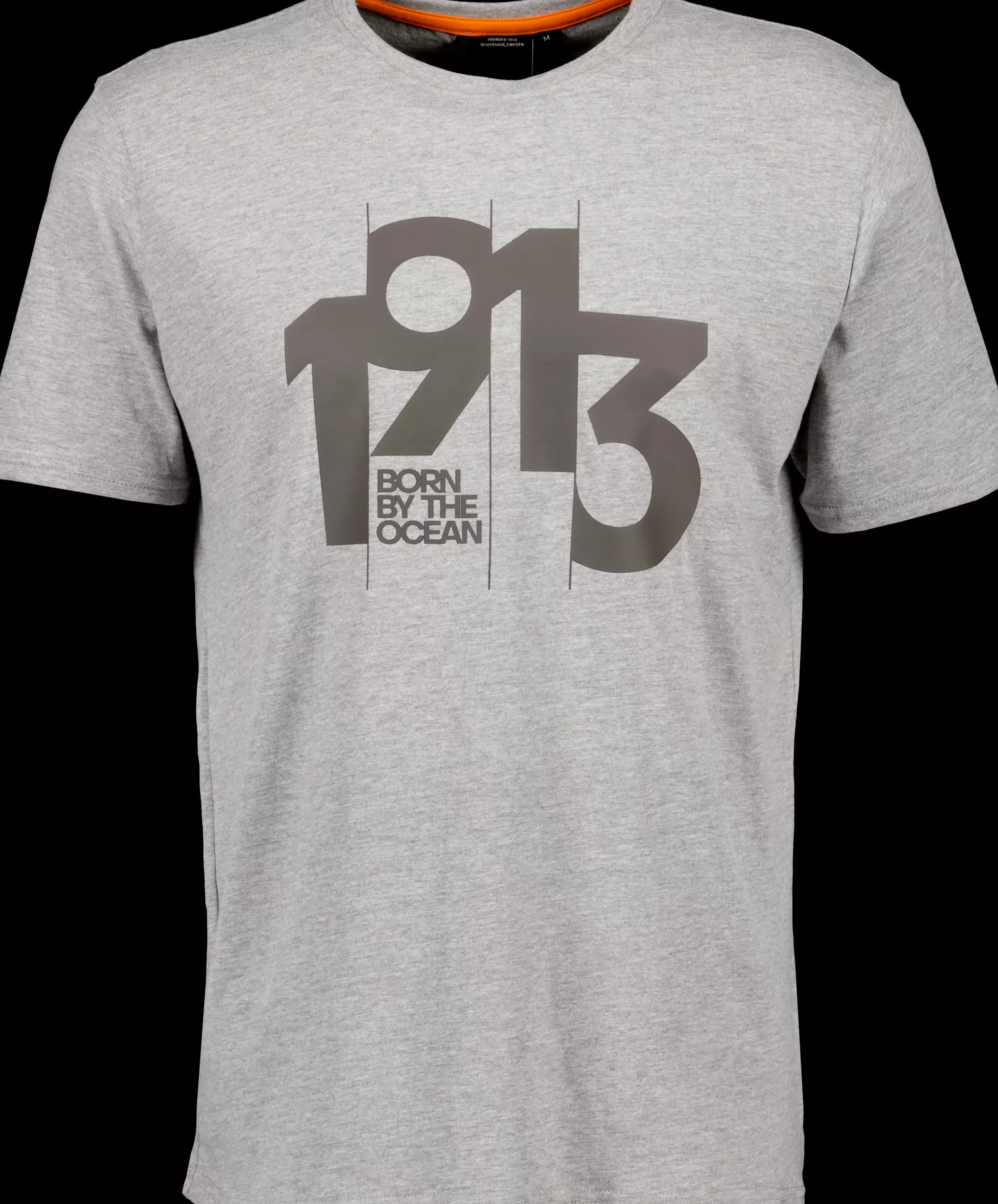 Didriksons Heritage Printed Men's T-Shirt>Herr T-Shirts & Pikeer
