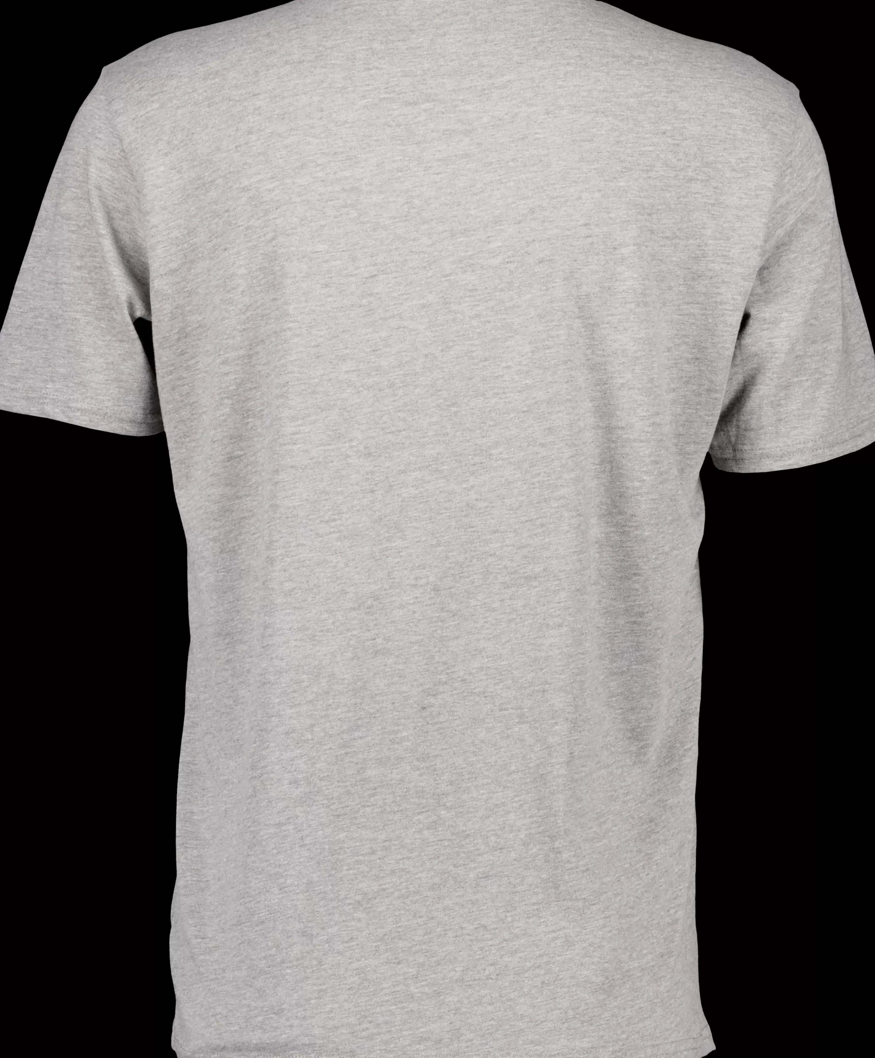 Didriksons Heritage Printed Men's T-Shirt>Herr T-Shirts & Pikeer