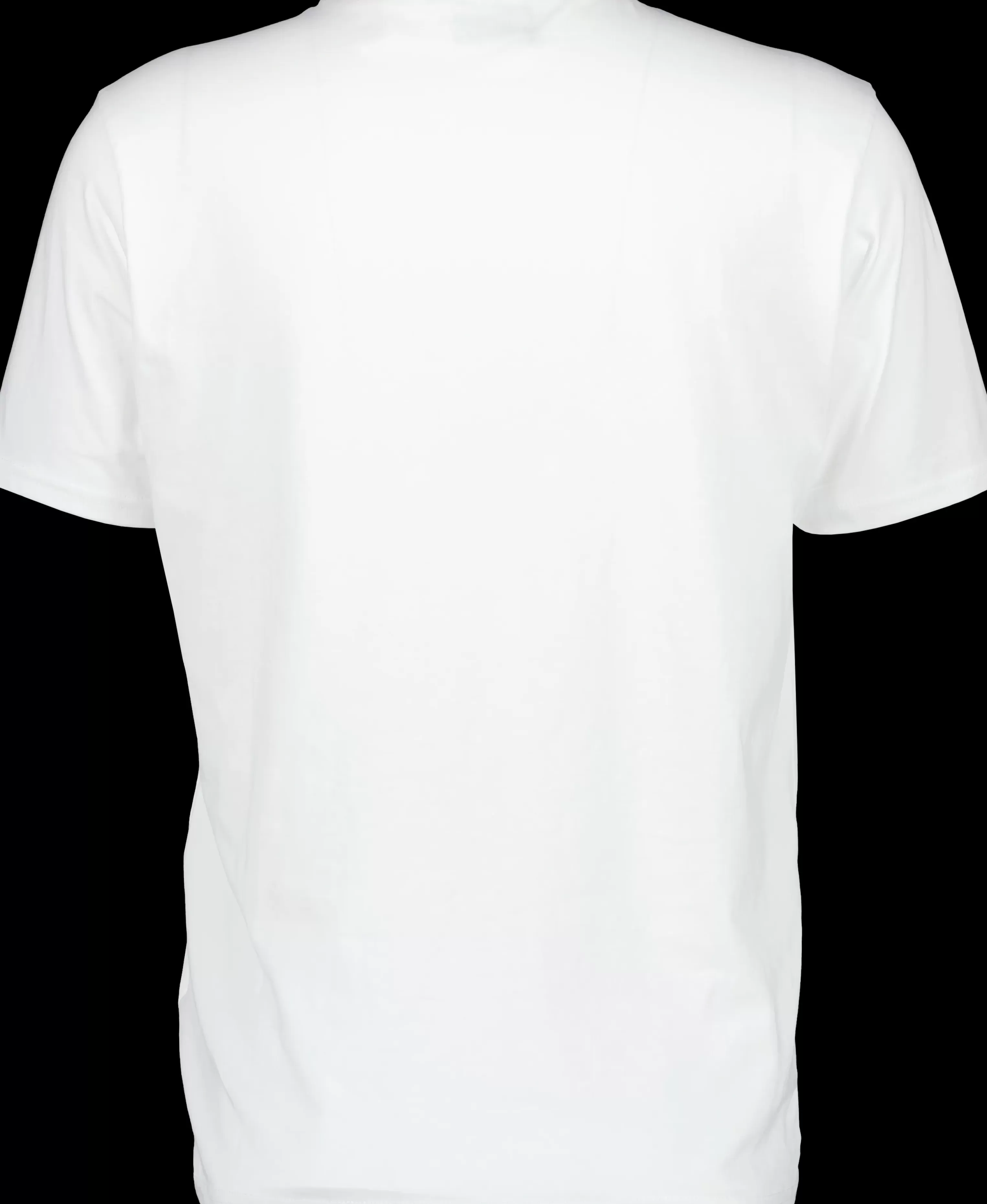 Didriksons Heritage Printed Men's T-Shirt>Herr T-Shirts & Pikeer